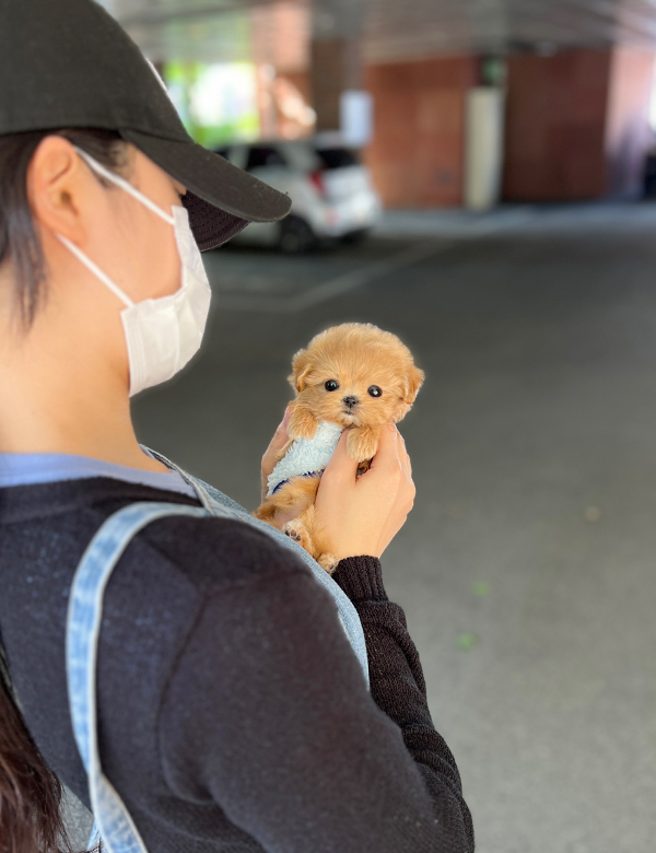 강아지 썸네일